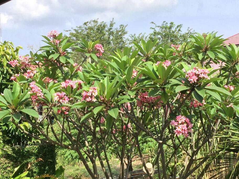 Banda Aceh Batoh Homestay - Private - Fits Up To 8 Persons מראה חיצוני תמונה